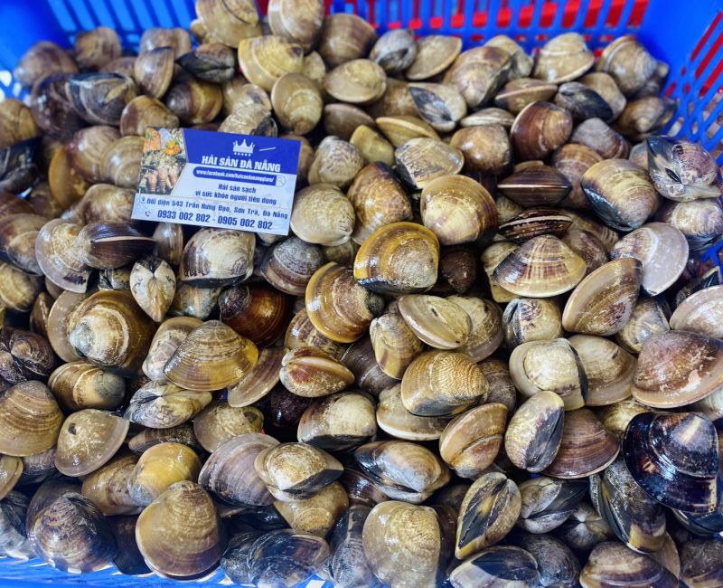 Hải sản Đà Nẵng Giá Rẻ