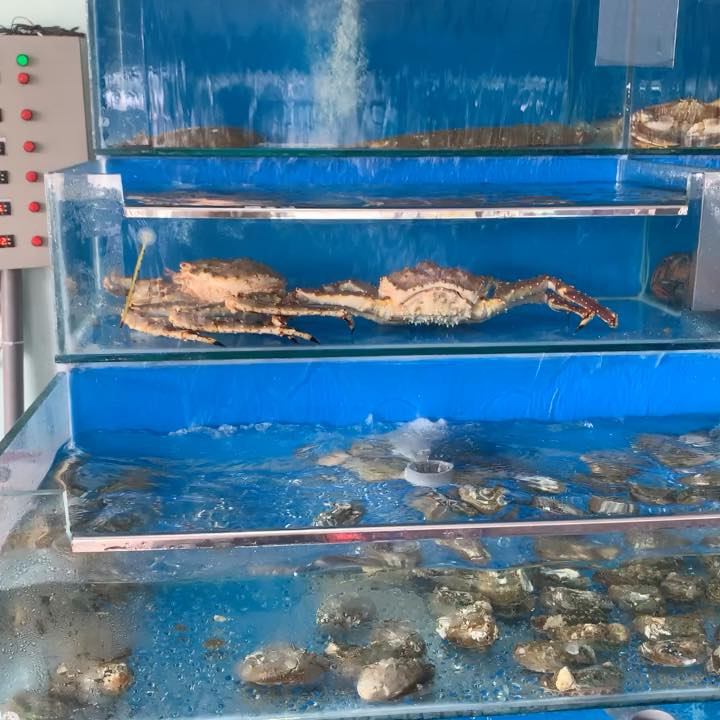 Hải Sản Hoàn﻿g