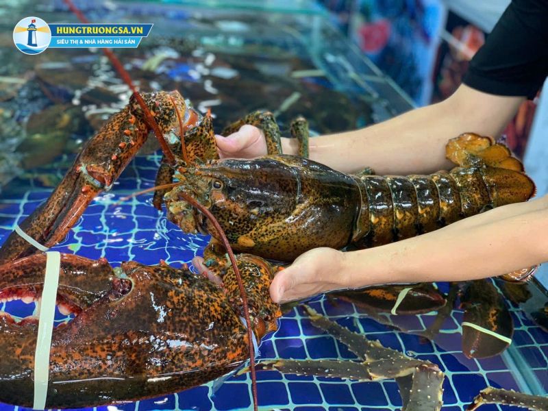 Hải Sản Hùng Trường Sa