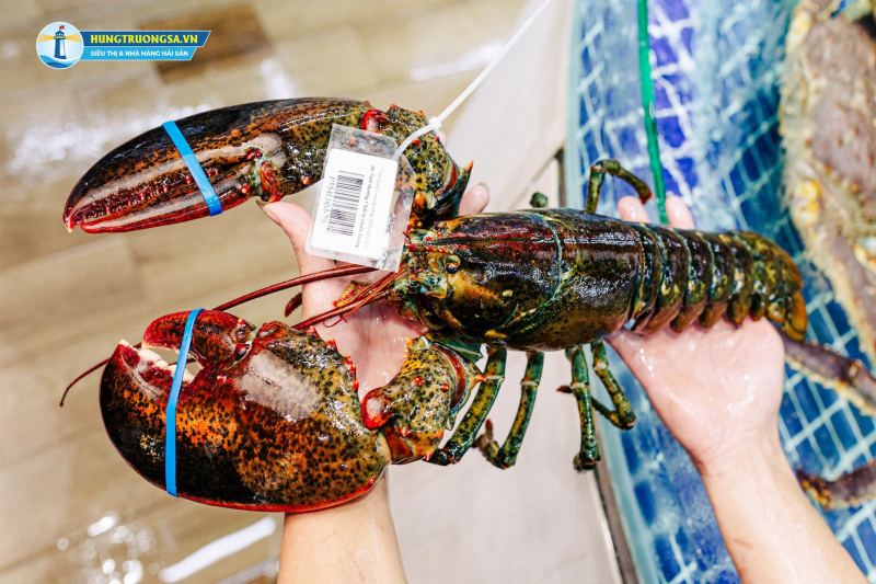 Hải Sản Hùng Trường Sa