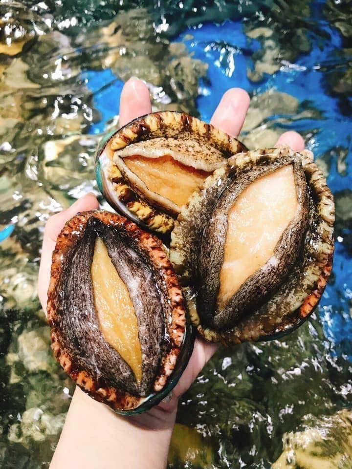Hải Sản Mỹ Hạnh