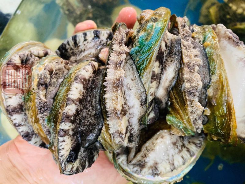 Hải Sản Mỹ Hạnh
