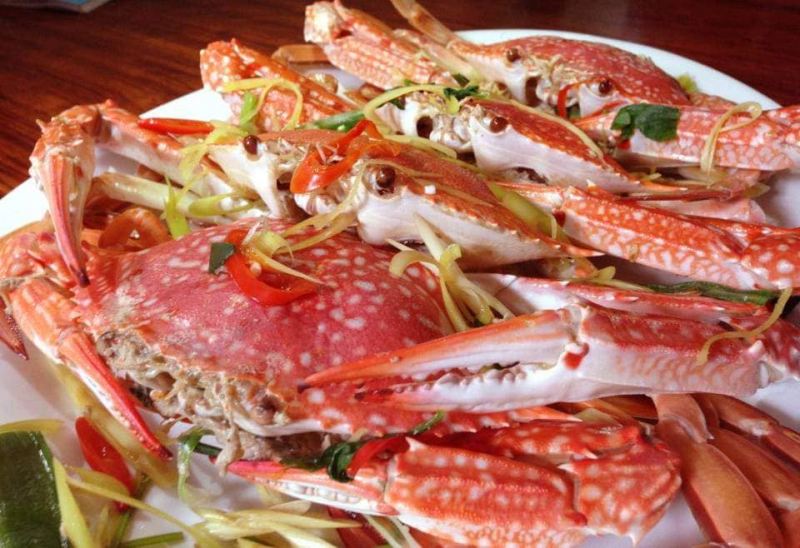 Hải Sản Thời Cổ