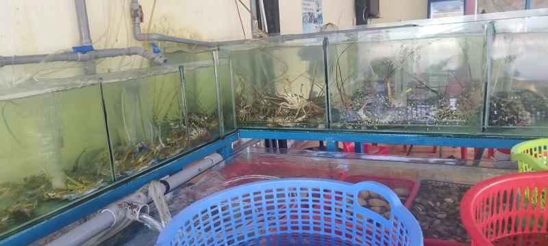 Hải sản Trí Nguyễn