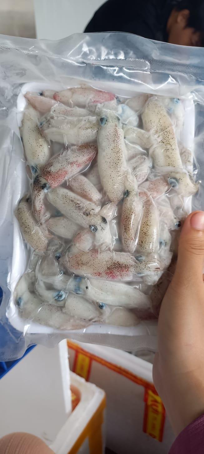 Hải Sản Tươi Sống, Đông Lạnh Quảng Ngãi