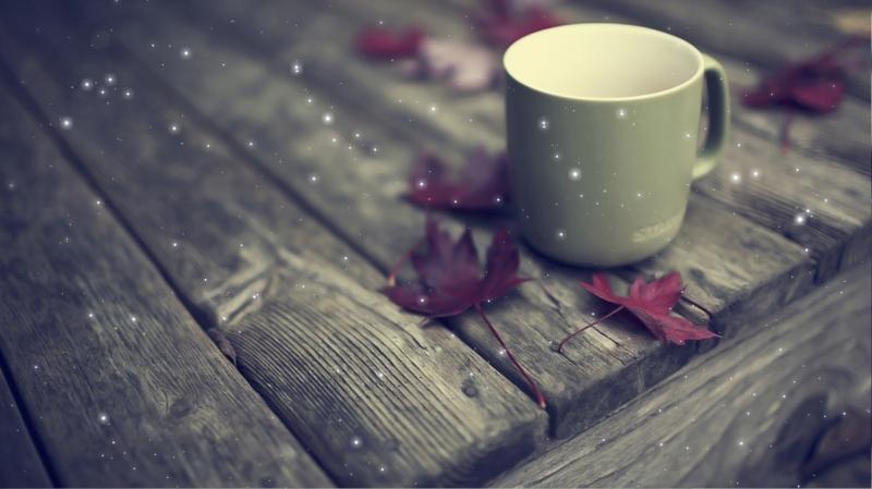 Hai chiếc hộp, hai số phận, hai tâm sự khác nhau....