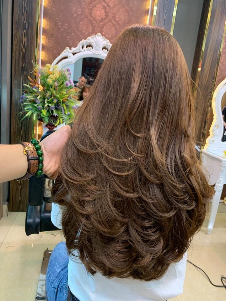Hair World Beauty