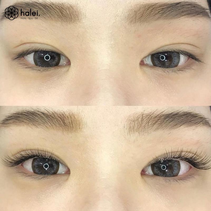 Halei Trần Quốc Vượng