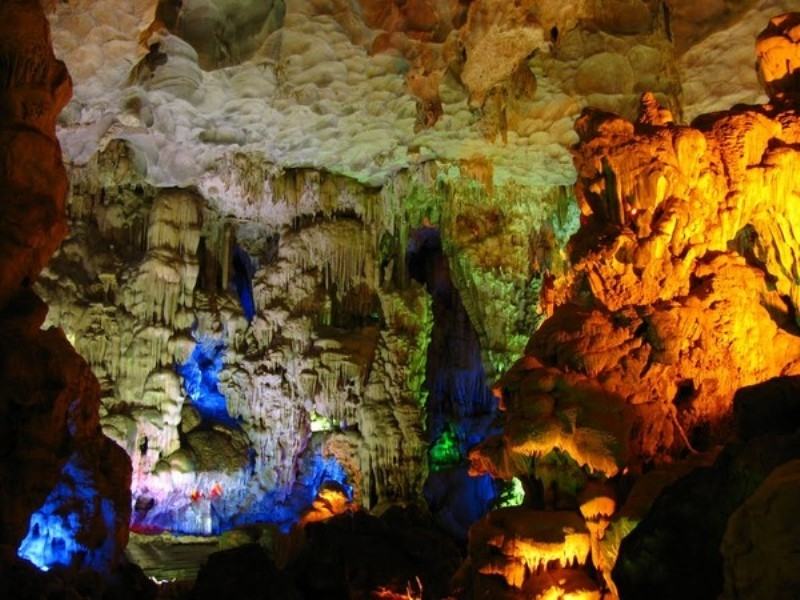 Hang Đầu Gỗ