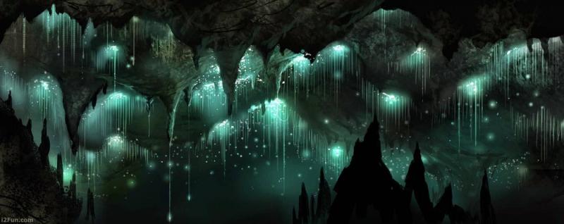 Hang động đom đóm Waitomo Glowworm (New Zealand)