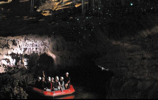 Hang động Waitomo Glowworm