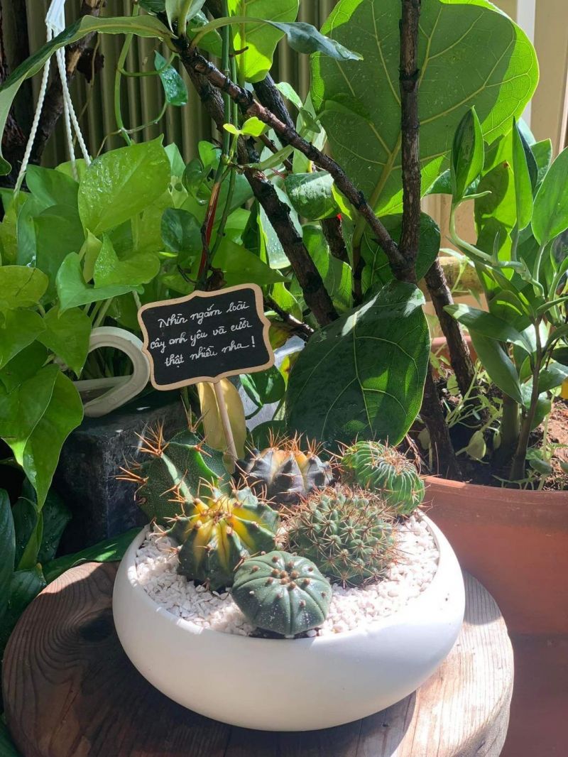 Hang's Garden
