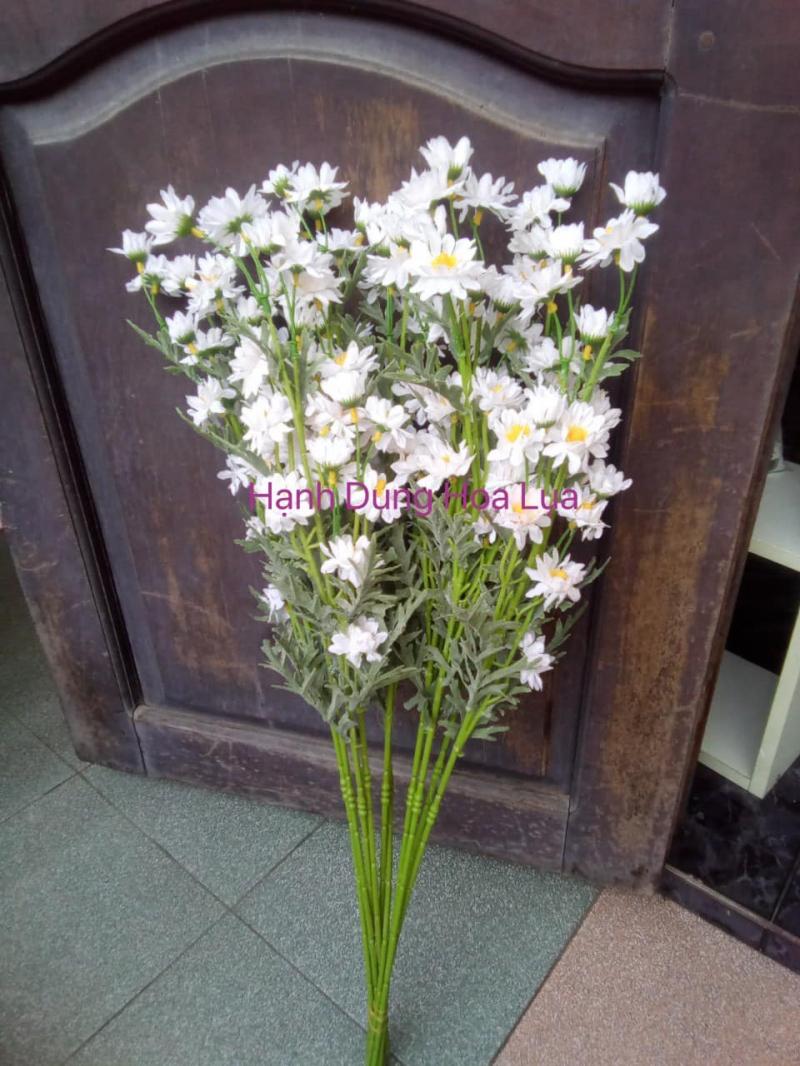 Hạnh Dung Hoa Lụa
