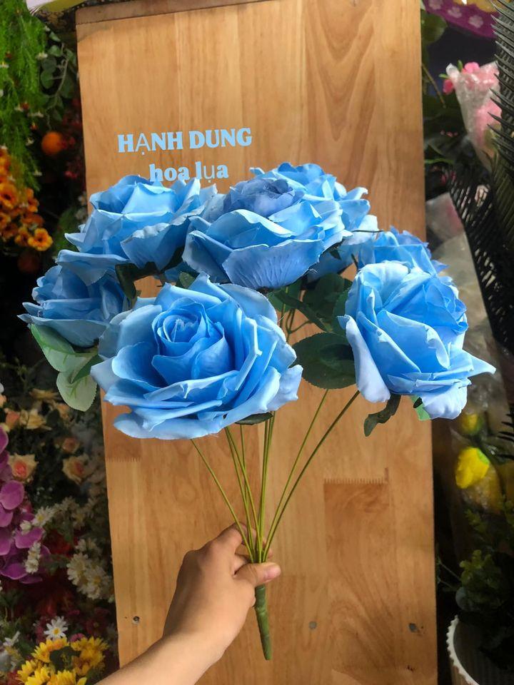 Hạnh Dung Hoa Lụa