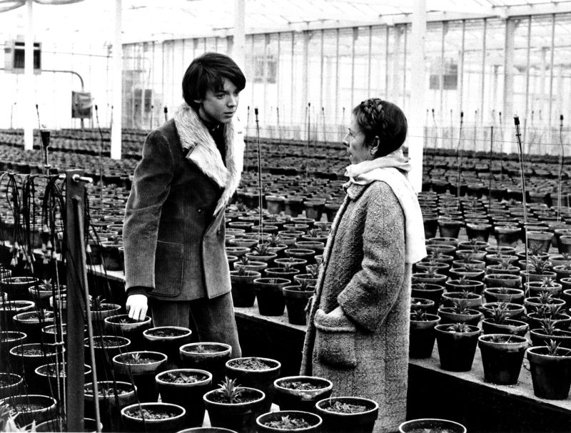 Harold and Maude – Hal Ashby (1971)