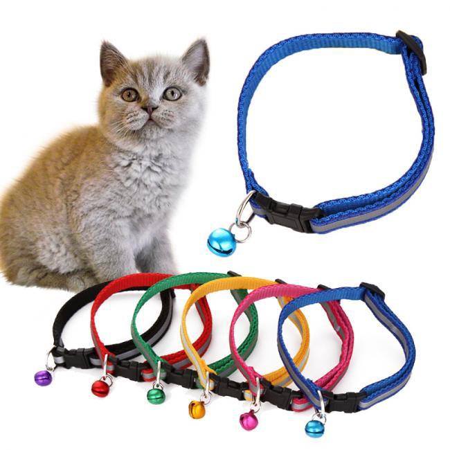 Đồ dùng, phụ kiện tại Haruko Pet Shop