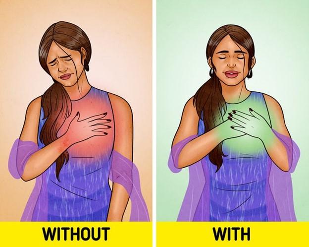 Hạt bơ tốt cho sức khỏe tim mạch