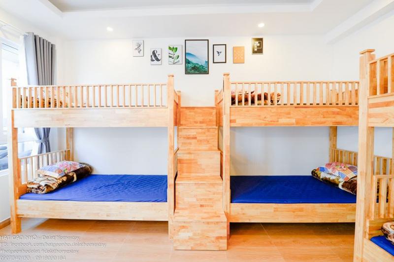 Hạt Gạo Nhỏ Homestay