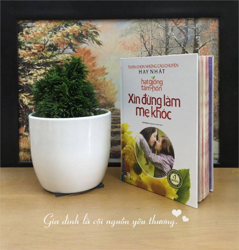Hạt giống tâm hồn: Xin đừng làm mẹ khóc  - Nhiều tác giả