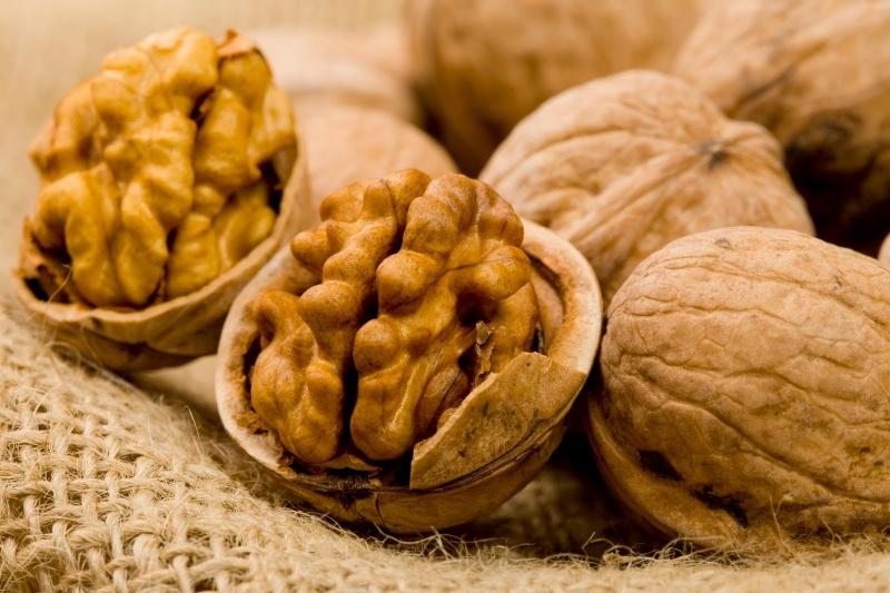 Hạt óc chó là món ăn vặt quen thuộc của người ăn kiêng (Nguồn: Sưu tầm)
