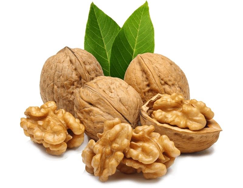Hạt óc chó