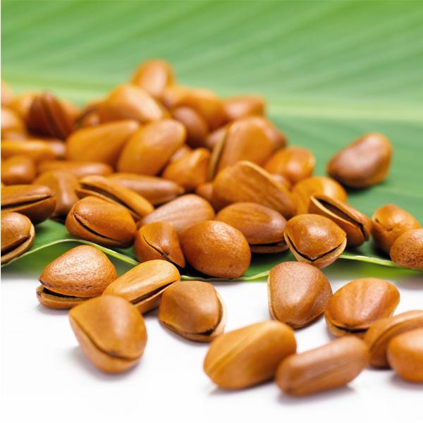 Hạt thông hỗ trợ hoàn thành hệ xương hoàn chỉnh cho bé yêu ngay từ khi còn nằm trong bào thai
