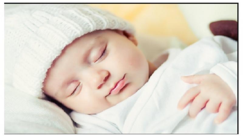Ngủ chiếm hầu hết thời gian trong ngày