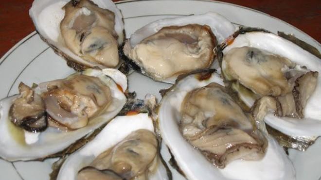 Hàu sống