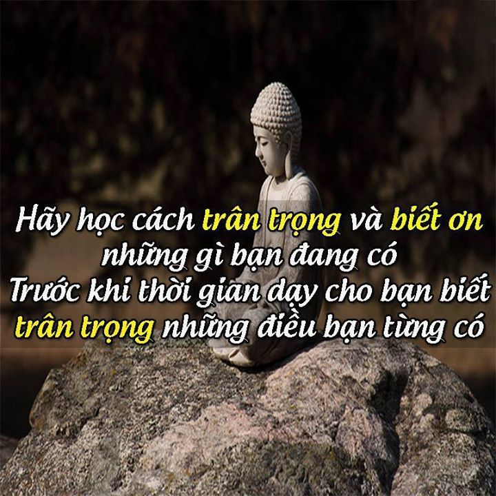 Hình minh hoạ
