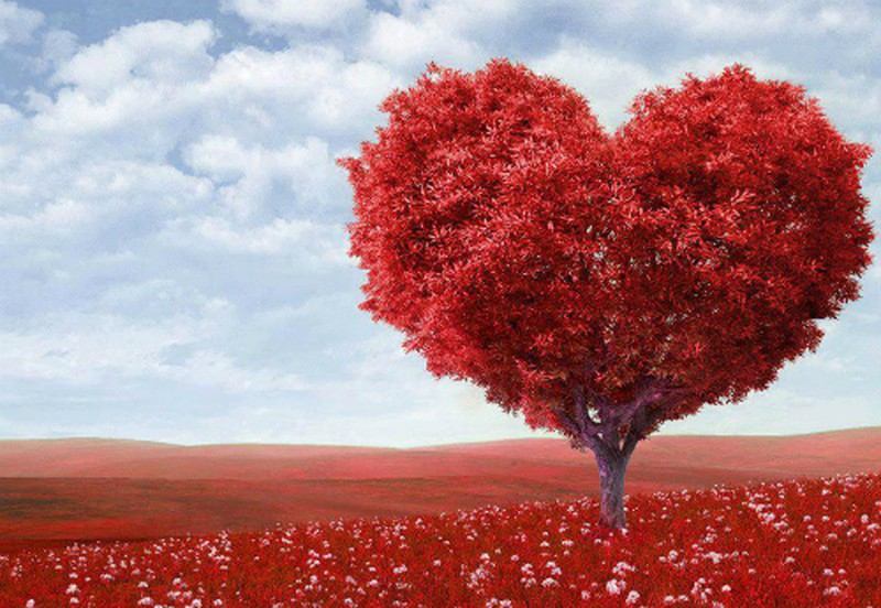 Hãy đặt mình vào tâm thế người dùng và chạm đến trái tim của họ