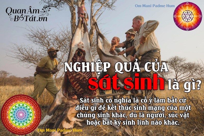 Nghiệp quả của sát sinh