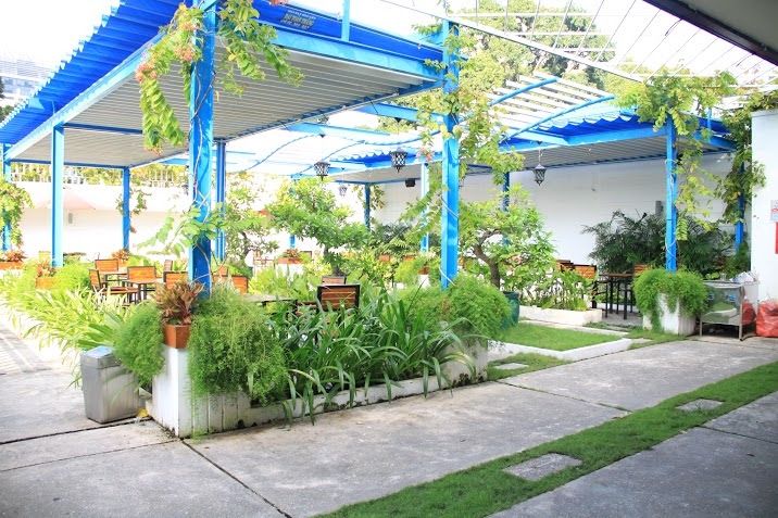 Canteen tràn ngập màu xanh