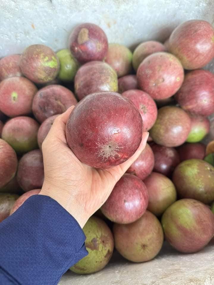 Chuỗi Cung Ứng Thực phẩm sạch Tại Thanh Hoá ATfood