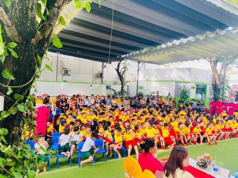 Hệ Thống Trường Mầm Non Ngôi Sao Xanh