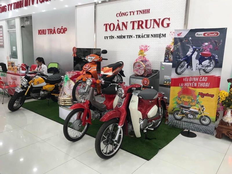 HEAD Toàn Trung