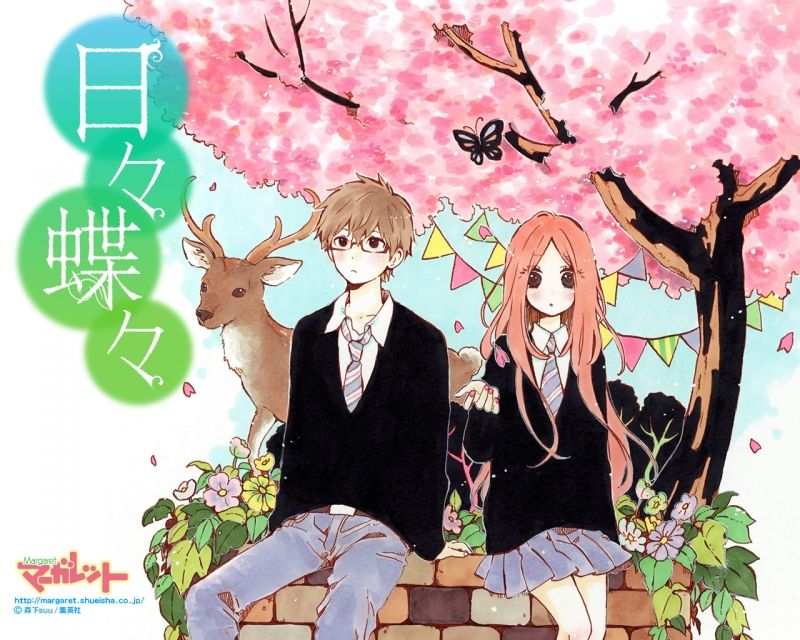 Hibi chouchou