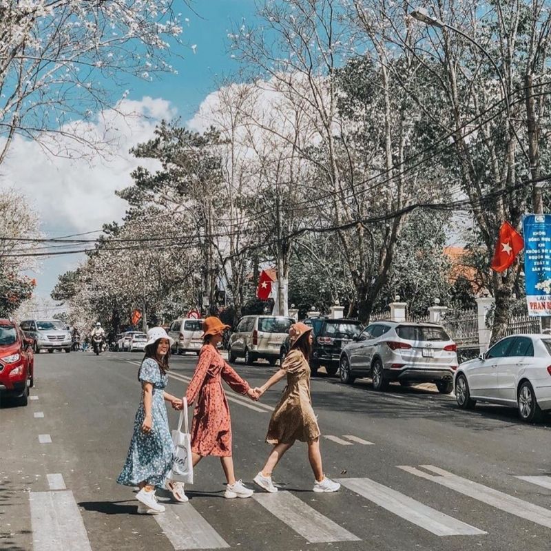 Hiệu ứng ảnh chuyển động