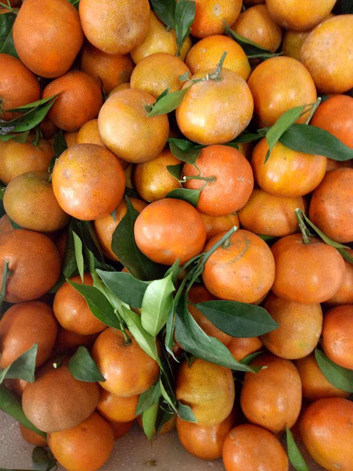 Cửa hàng Hiệp Hà -Thực phẩm sạch Thanh Hóa