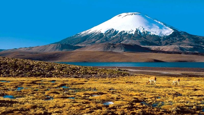 Hồ Nevado Ojos Del Salado