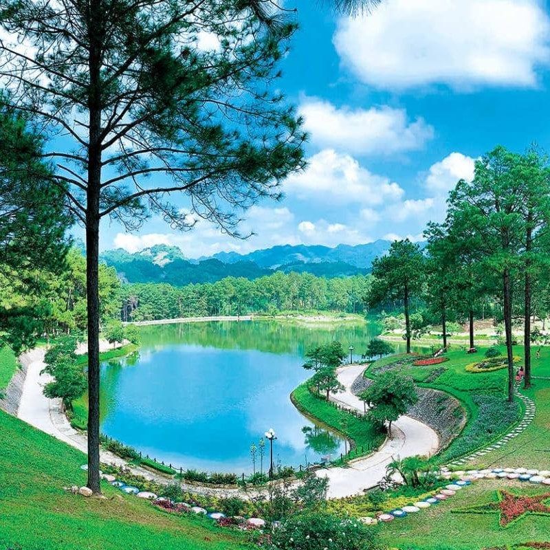Thiên đường hoa cải trắng ở bản Áng