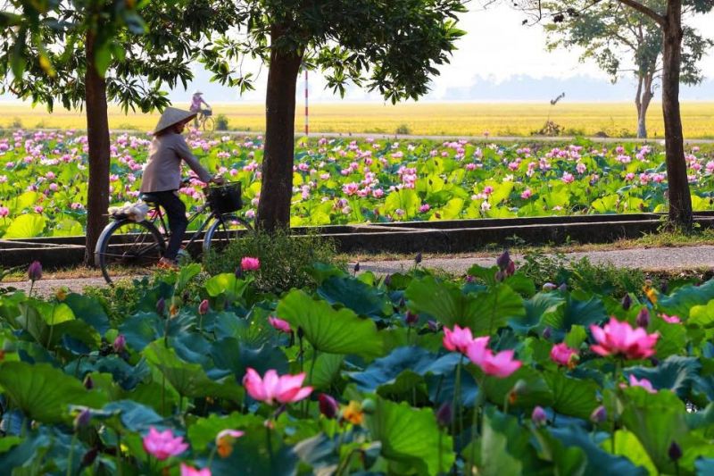 Mạnh mẽ lên nào cô gái