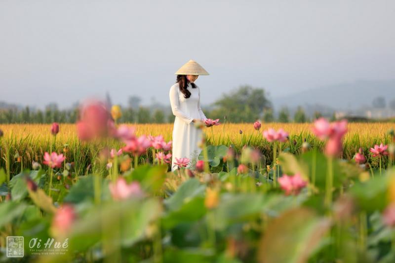 Vô đề
