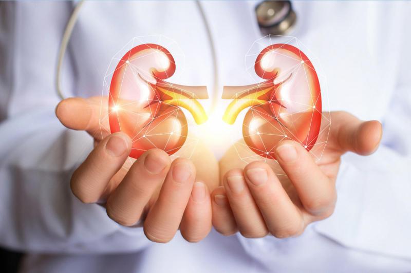 Đông trùng hạ thảo hỗ trợ chữa các bệnh liên quan đến thận
