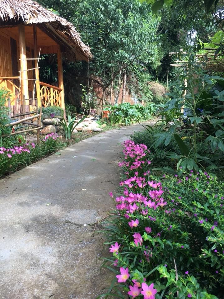 Hoa Chanh Homestay