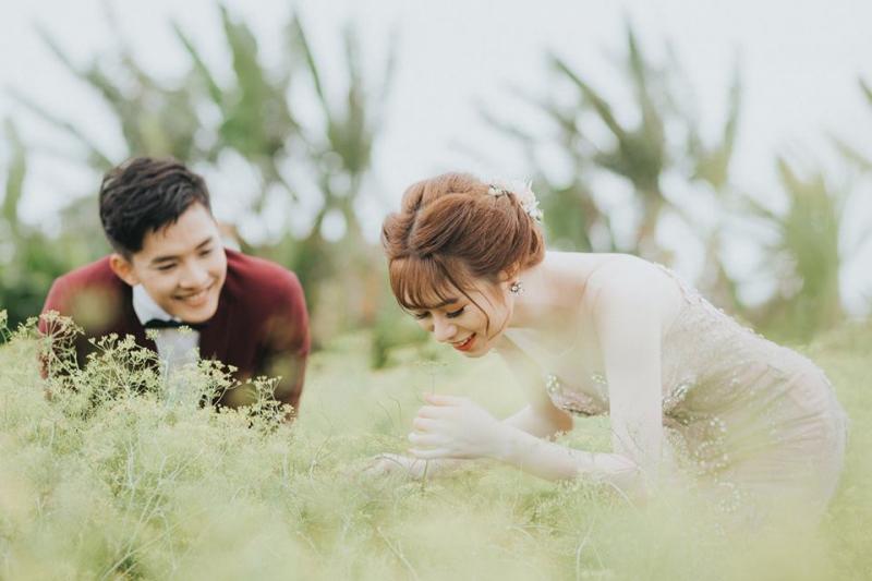 Hoa cưới