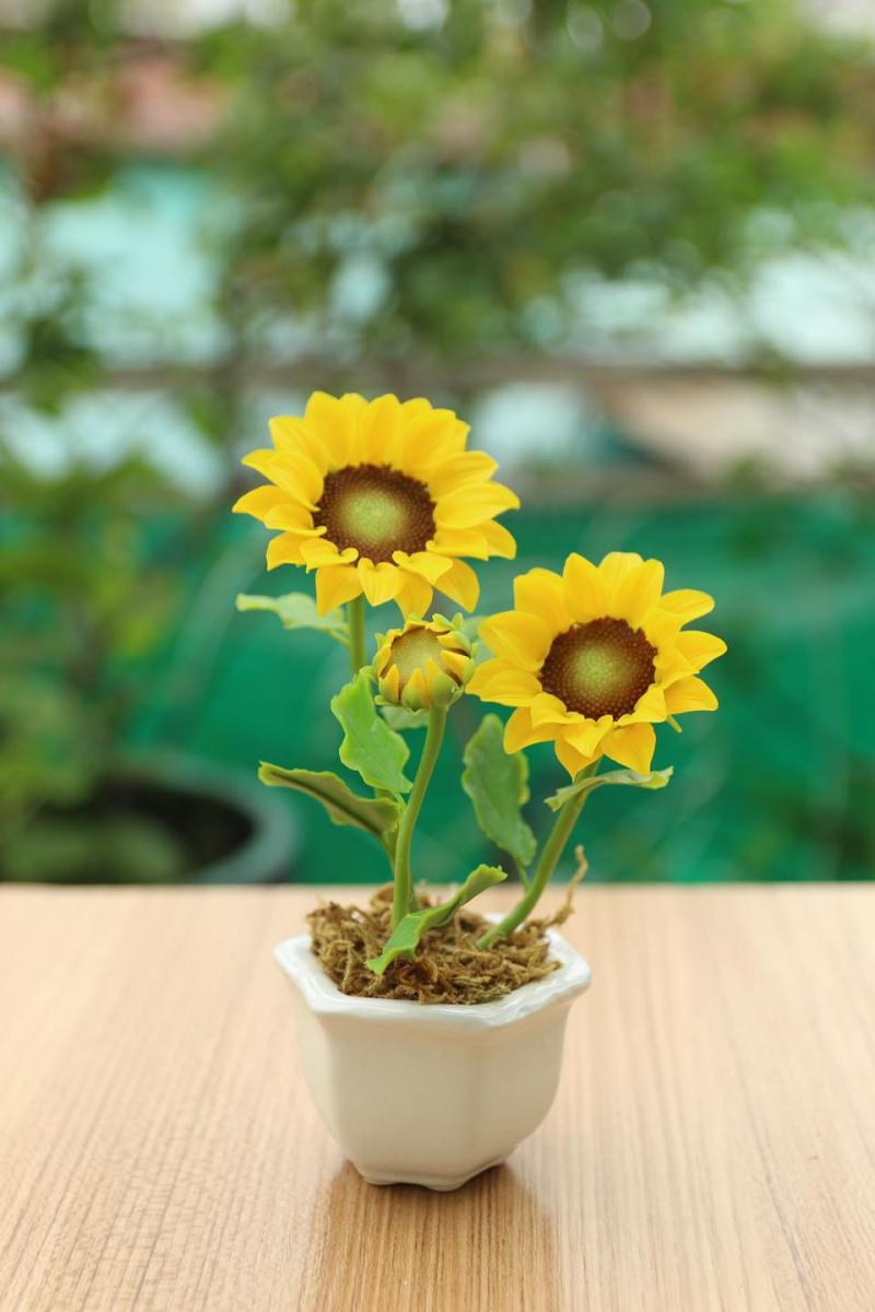 Hoa đất sét Bình Tiên
