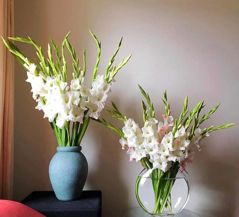 Giữ hoa tươi lâu ngày Tết
