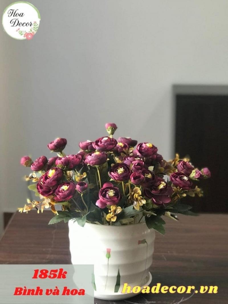 Hoa Decor