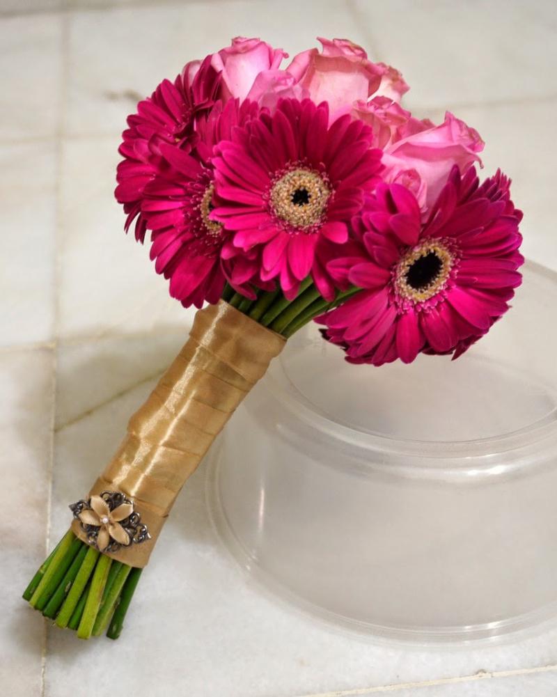 Hoa đồng tiền
