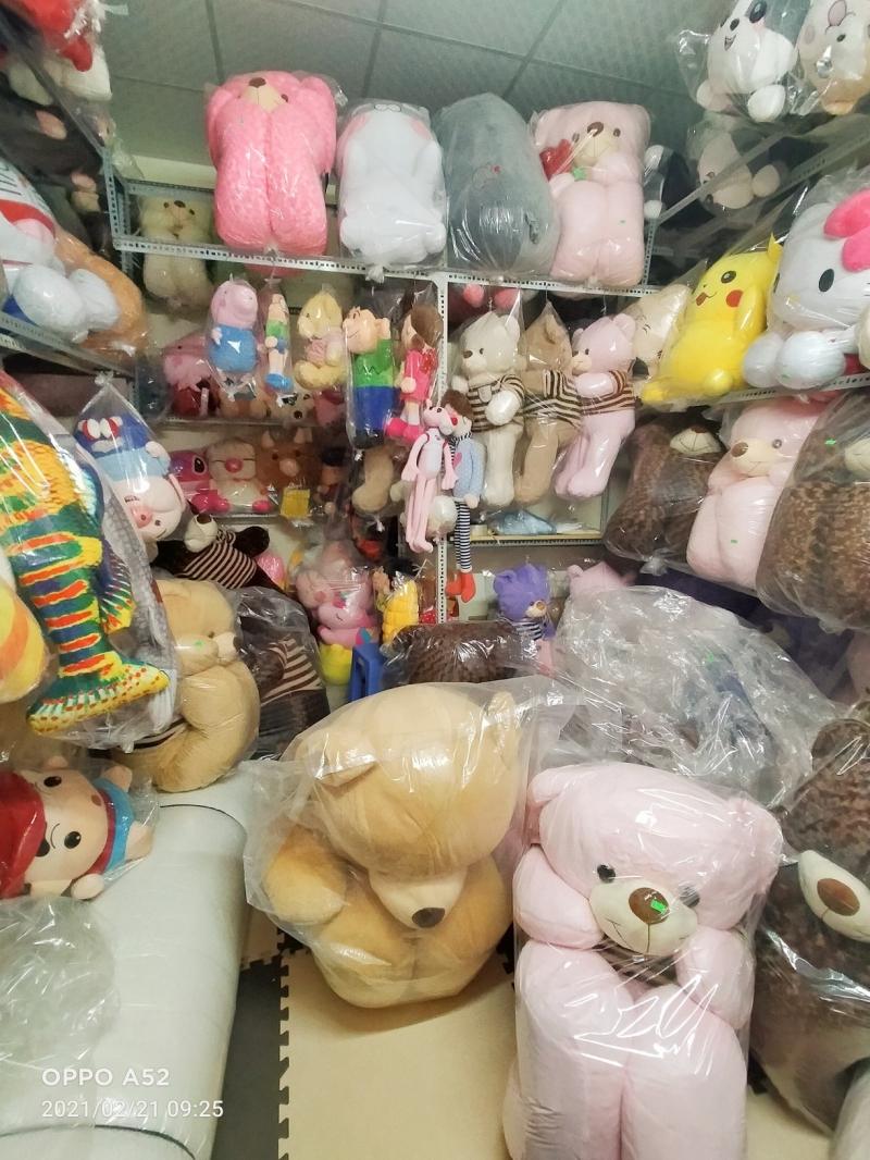Gấu teddy